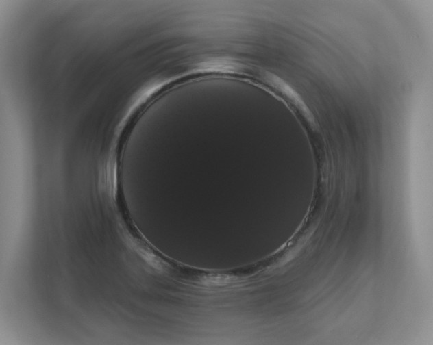 X0000111521323200907211216