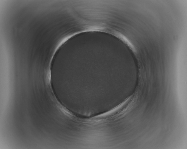X0000111521324200907211216
