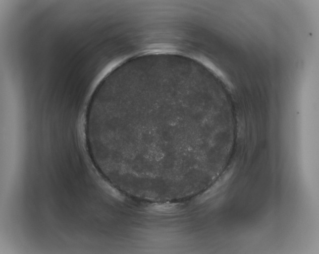 X0000111521325200907211216