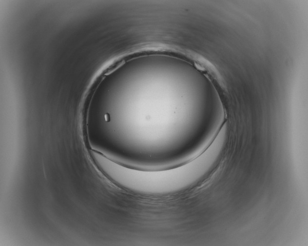 X0000111521326200907211216