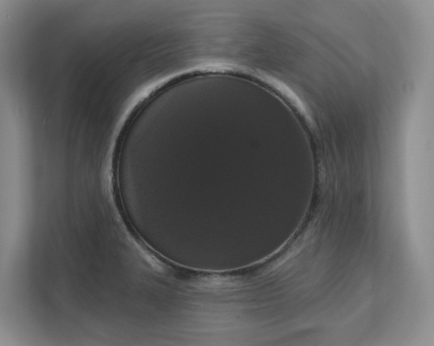X0000111521327200907211216