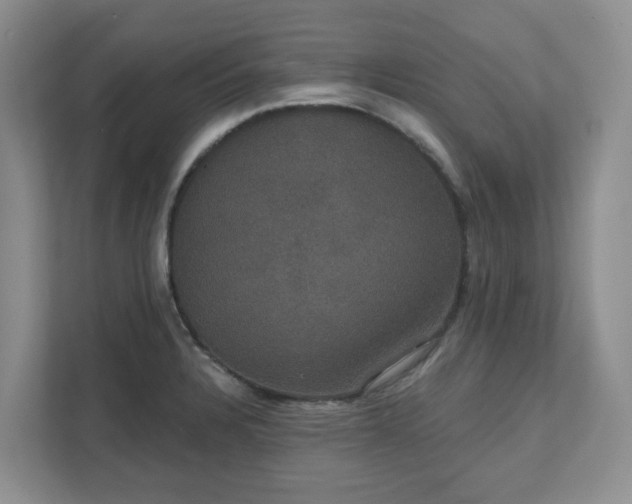 X0000111521328200907211216