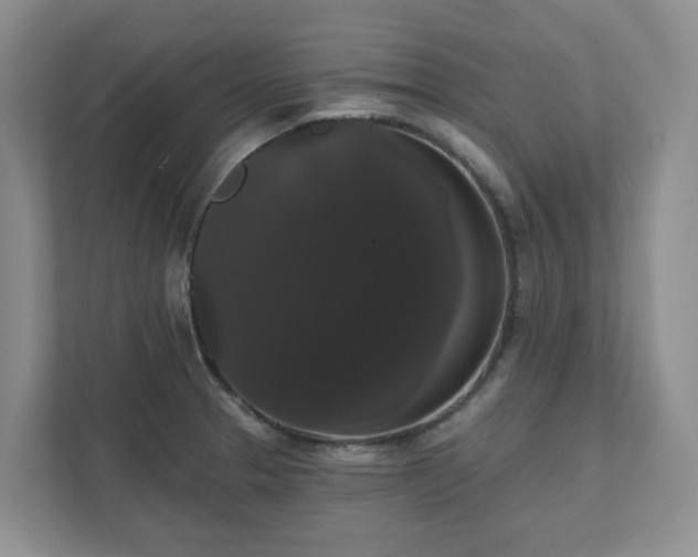 X0000111521329200907211216