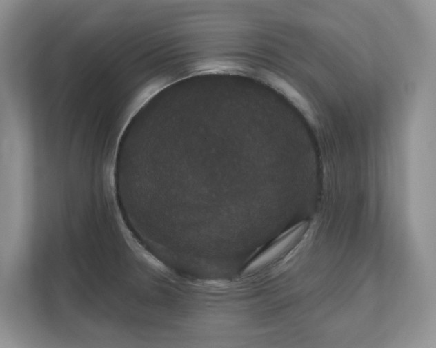 X0000111521330200907211216