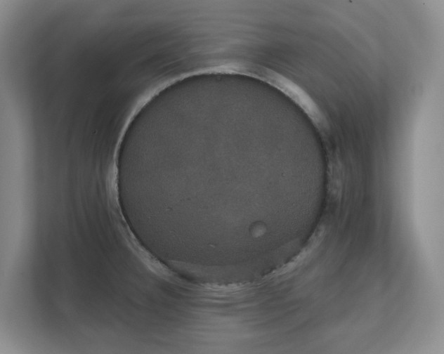 X0000111521332200907211216