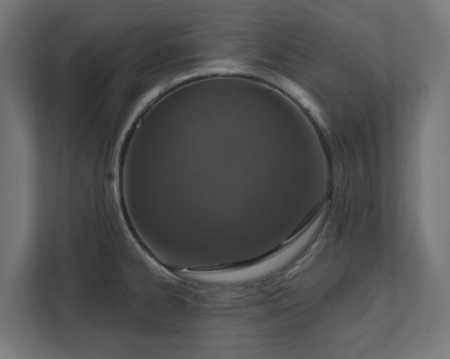X0000111521334200907211216