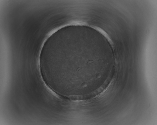 X0000111521335200907211216