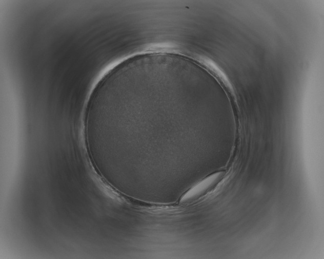 X0000111521336200907211216