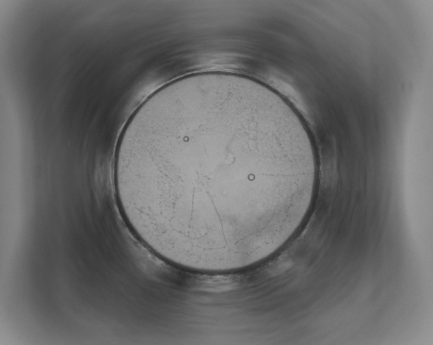 X0000111521338200907211216