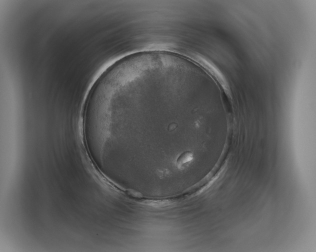 X0000111521340200907211216