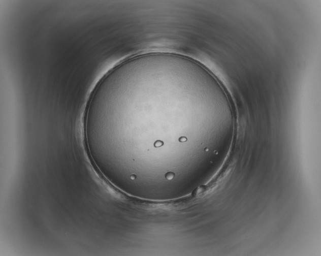 X0000111521341200907211216