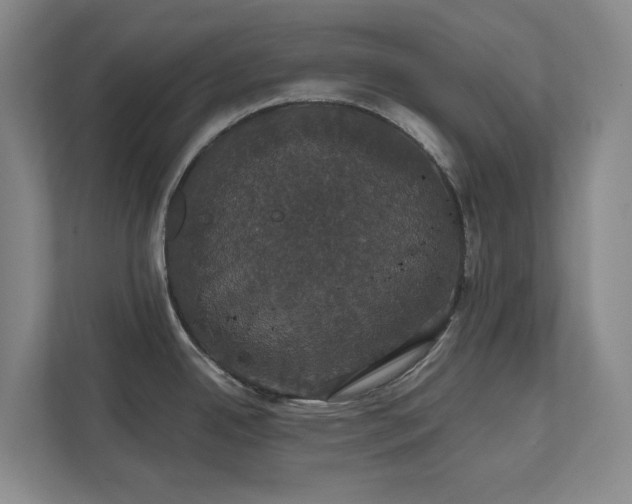 X0000111521342200907211216