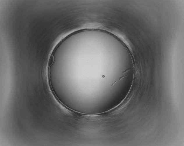 X0000111521343200907211216