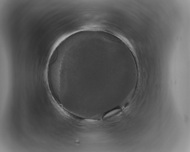 X0000111521344200907211216