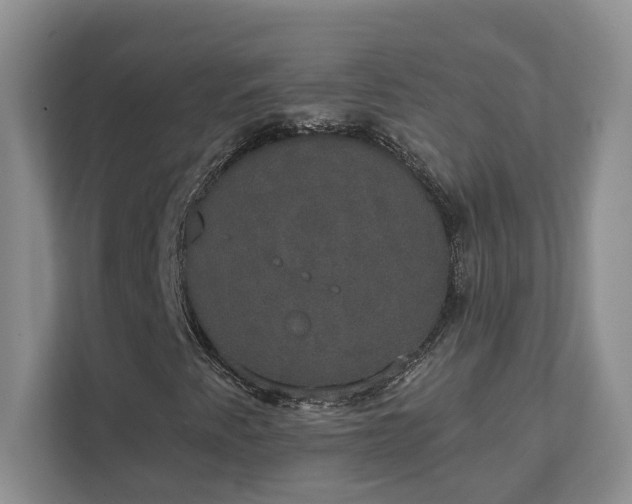 X0000111521345200907211216