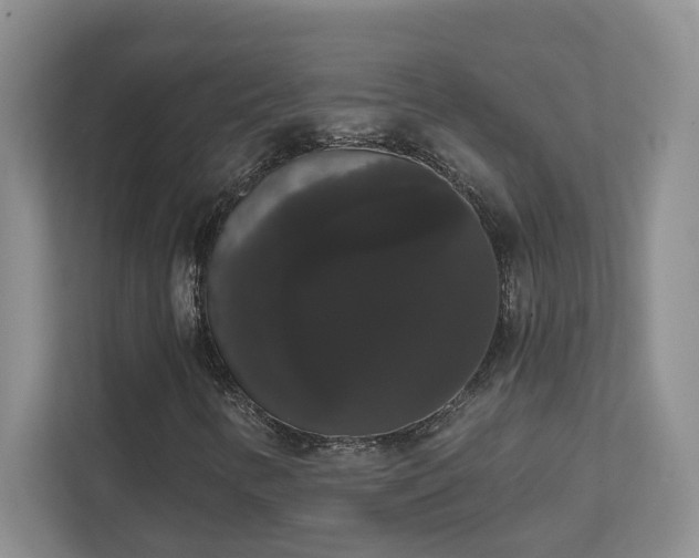 X0000111521346200907211216