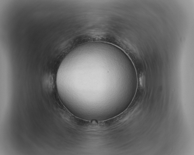 X0000111521347200907211216
