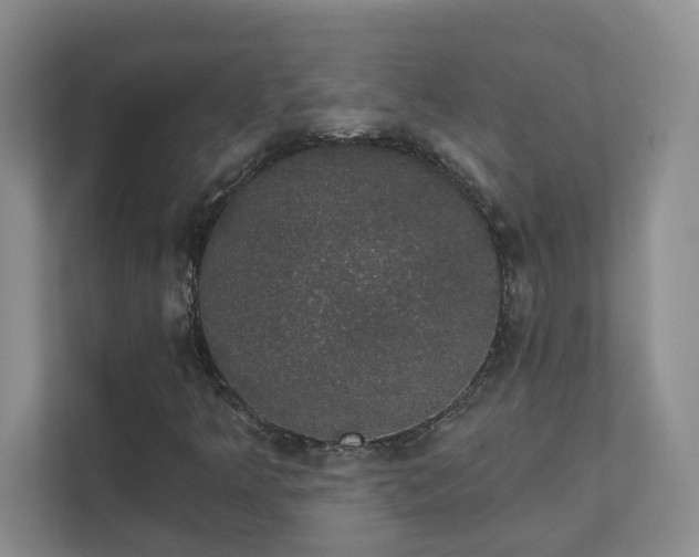 X0000111521349200907211216