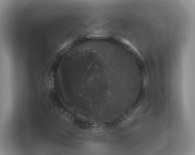X0000111521350200907211216