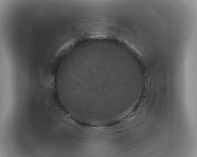 X0000111521351200907211216