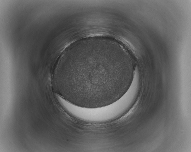 X0000111521353200907211215