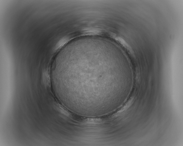 X0000111521354200907211215