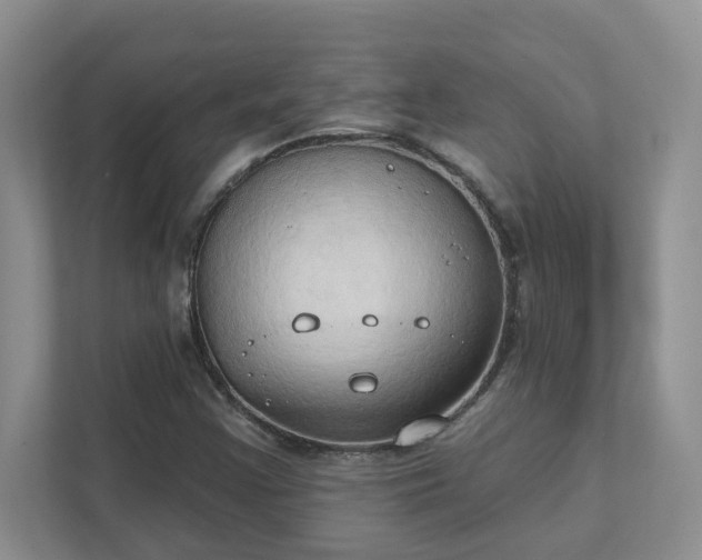 X0000111521355200907211215