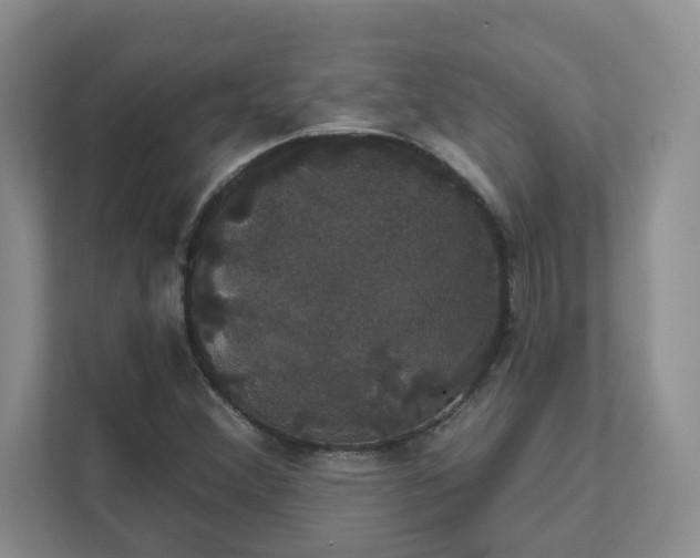 X0000111521356200907211215
