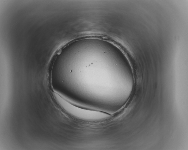 X0000111521357200907211215