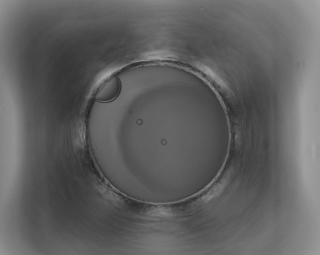 X0000111521358200907211215