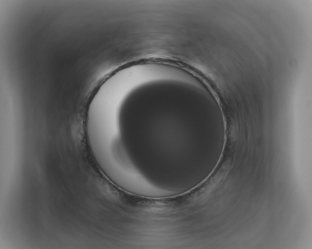 X0000111521359200907211215