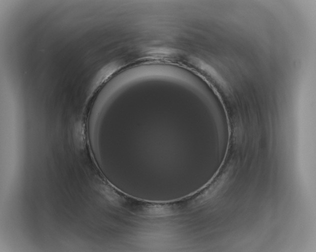 X0000111521362200907211215
