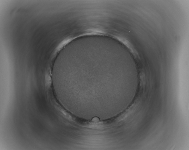 X0000111521363200907211215