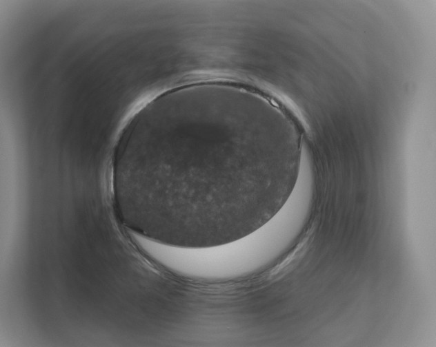 X0000111521365200907211215