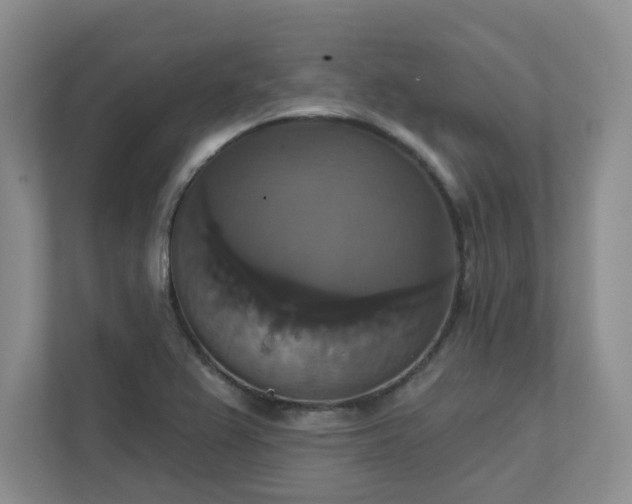 X0000111521367200907211215