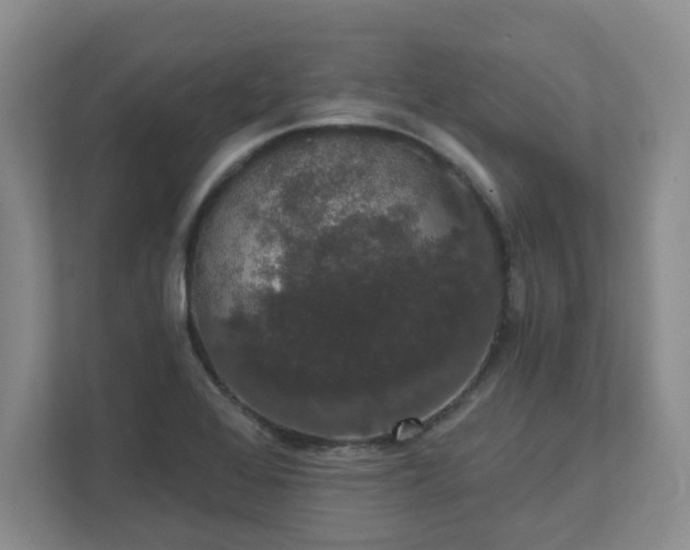 X0000111521368200907211215