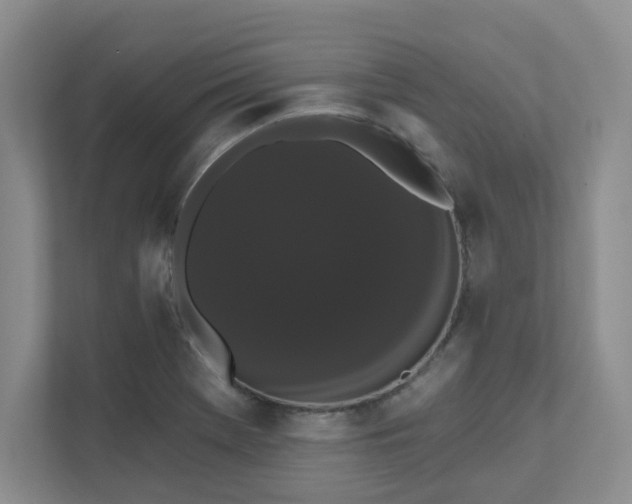X0000111521369200907211215