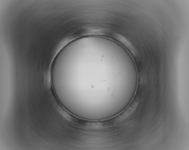 X0000111521370200907211215