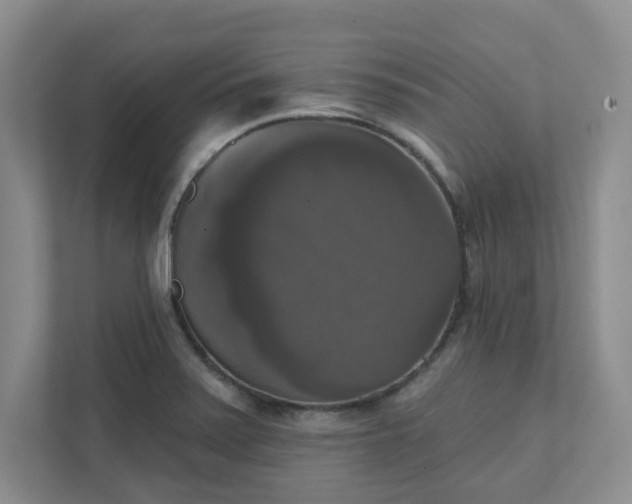 X0000111521371200907211215
