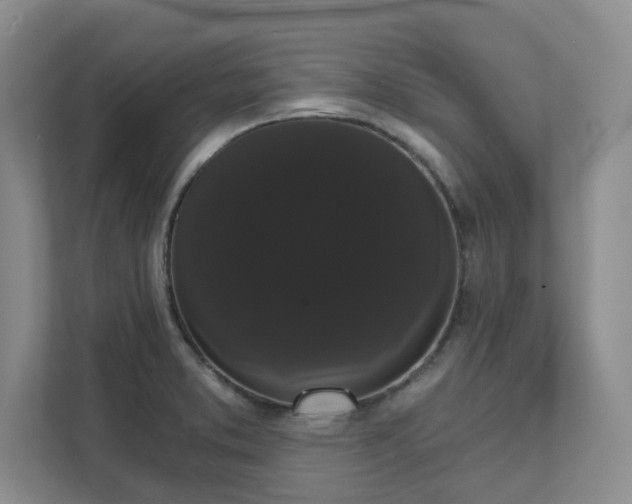 X0000111521373200907211215