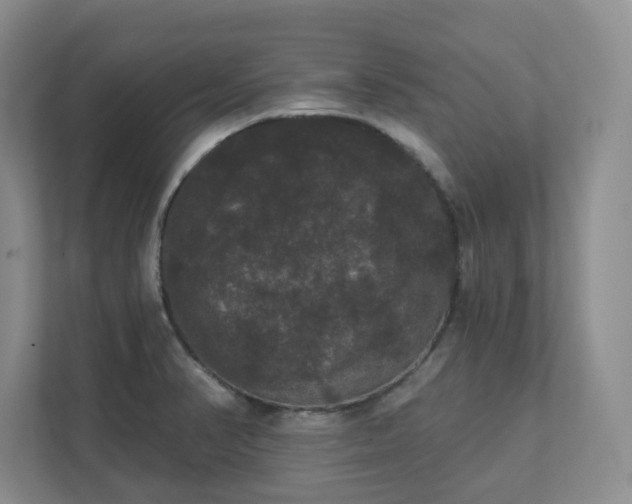 X0000111521374200907211215