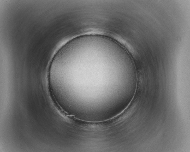 X0000111521375200907211215