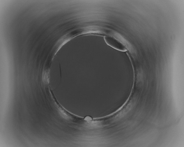 X0000111521377200907211215