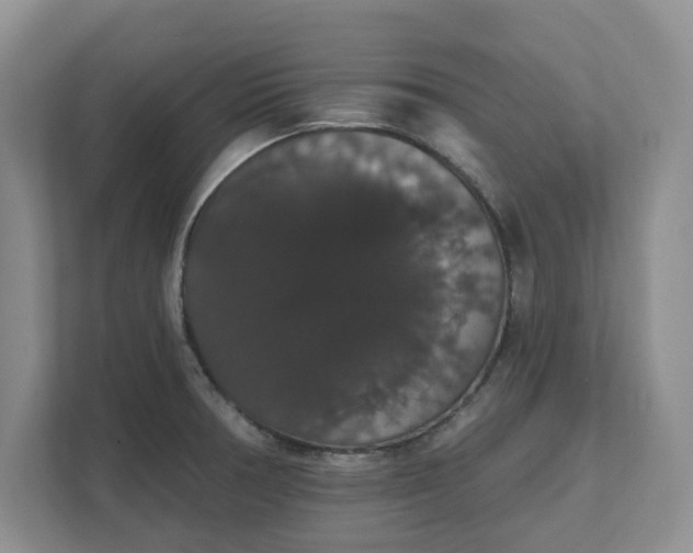 X0000111521378200907211215
