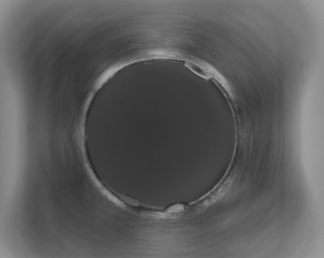 X0000111521381200907211215