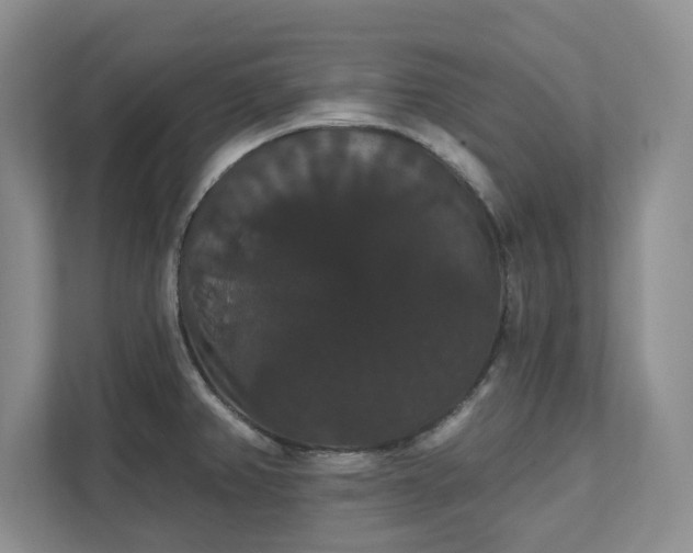 X0000111521382200907211215