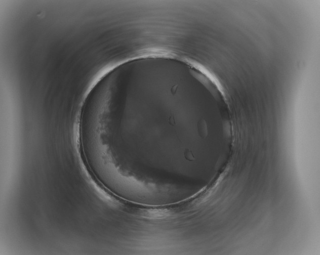 X0000111521383200907211215