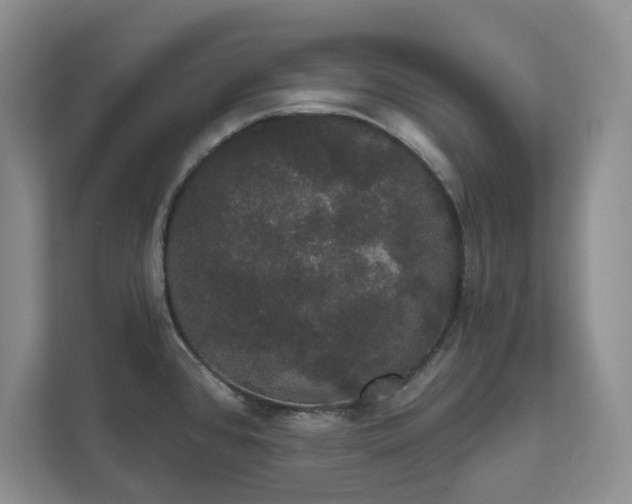 X0000111521384200907211215