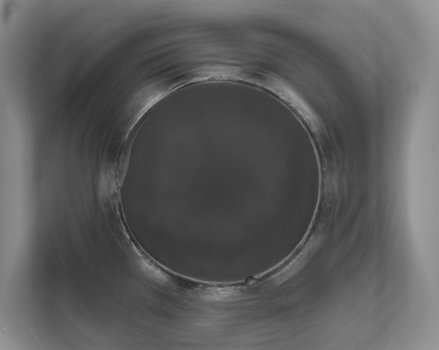 X0000111521385200907211215