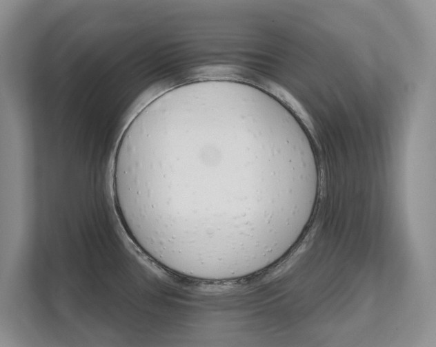 X0000111521386200907211215